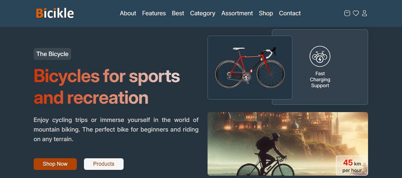 Bicycles for sports and recreation